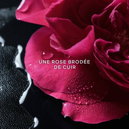 GUERLAIN-La Petite Robe Noire - Rose Noire - Eau de Parfum GUERLAIN-La Petite Robe Noire - Rose Noire - Eau de Parfum